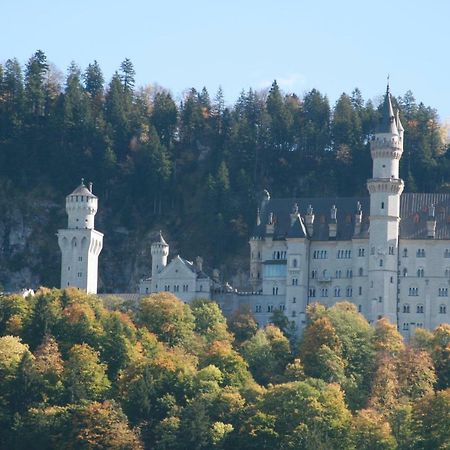 Haflingerhof Appenstein Villa Pinswang Eksteriør billede