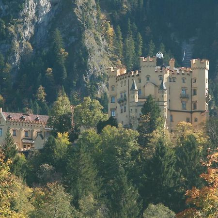 Haflingerhof Appenstein Villa Pinswang Eksteriør billede